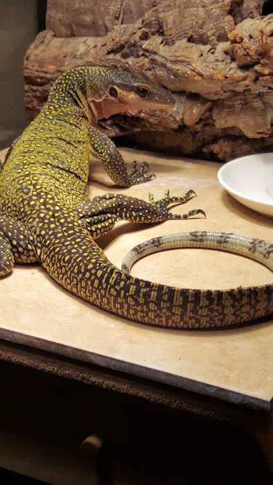 Imperial Reptiles & Exotics Picture 10