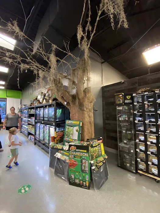 Imperial Reptiles & Exotics Picture 1