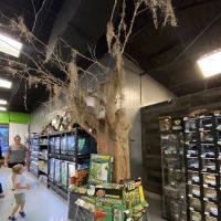 Imperial Reptiles & Exotics ico