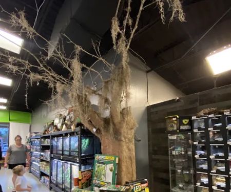 Imperial Reptiles & Exotics
