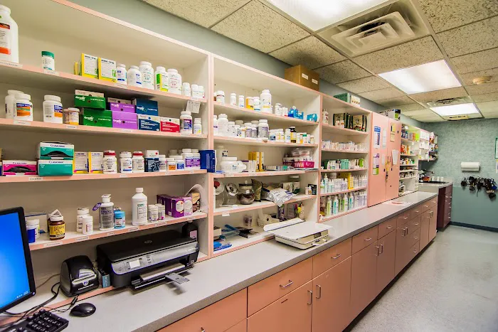 The Animal Hospital of Roxbury Picture 9