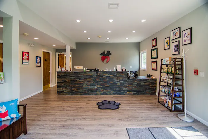 The Animal Hospital of Roxbury Picture 8