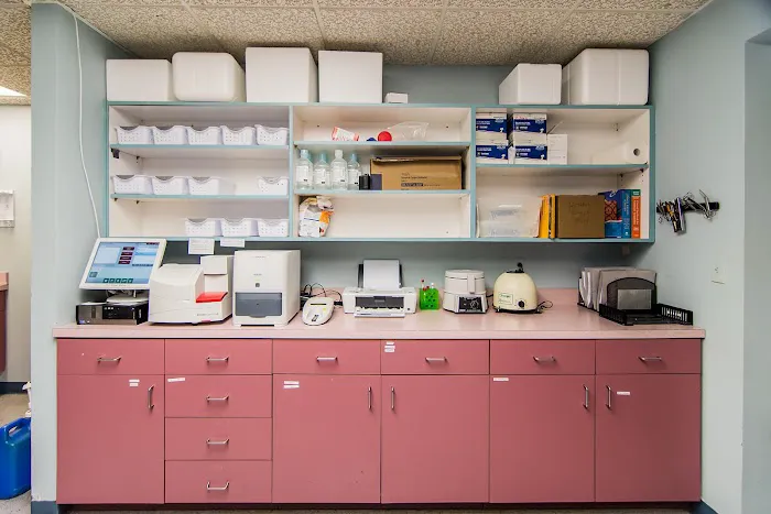 The Animal Hospital of Roxbury Picture 10