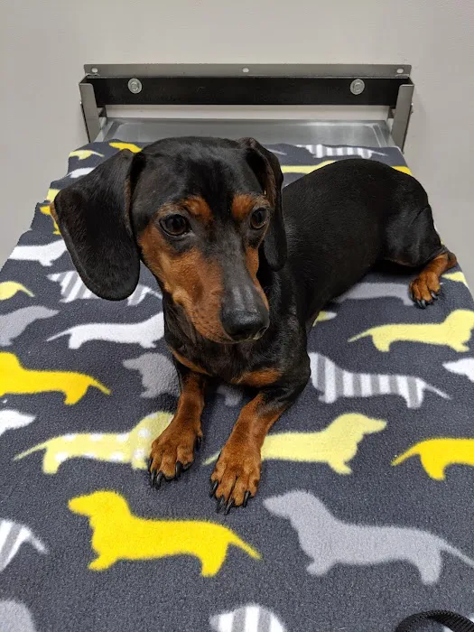 The Animal Hospital of Roxbury Picture 5