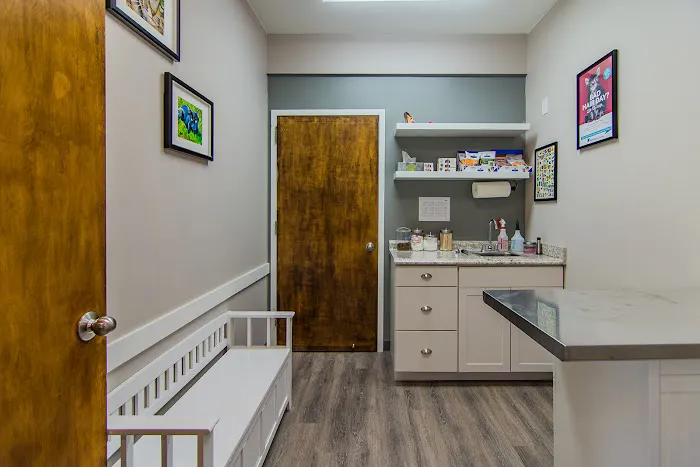 The Animal Hospital of Roxbury Picture 7