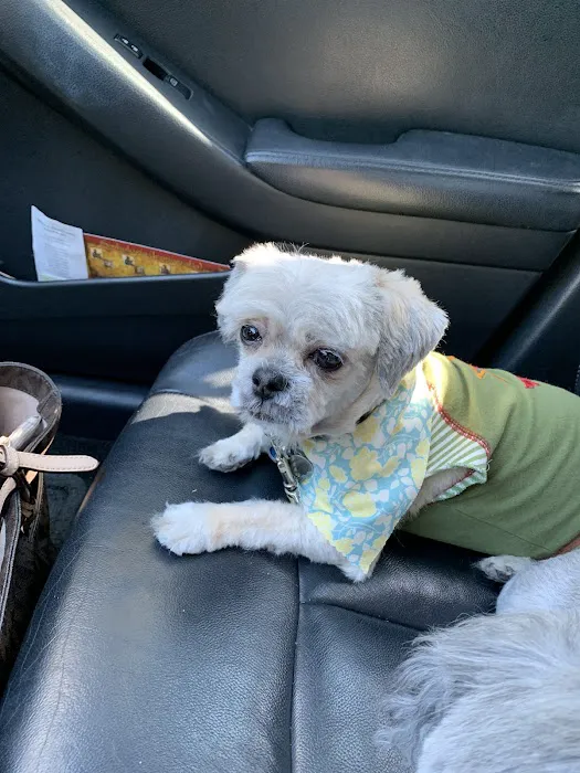 Woof Gang Bakery & Grooming Windermere Picture 3