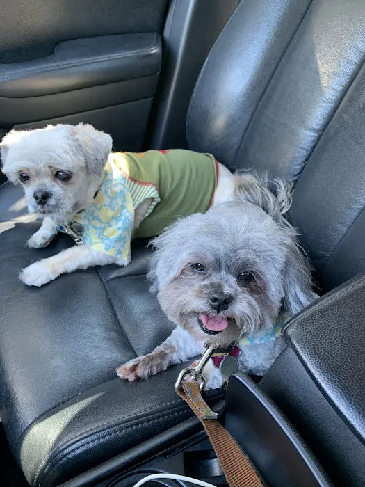 Woof Gang Bakery & Grooming Windermere Picture 5