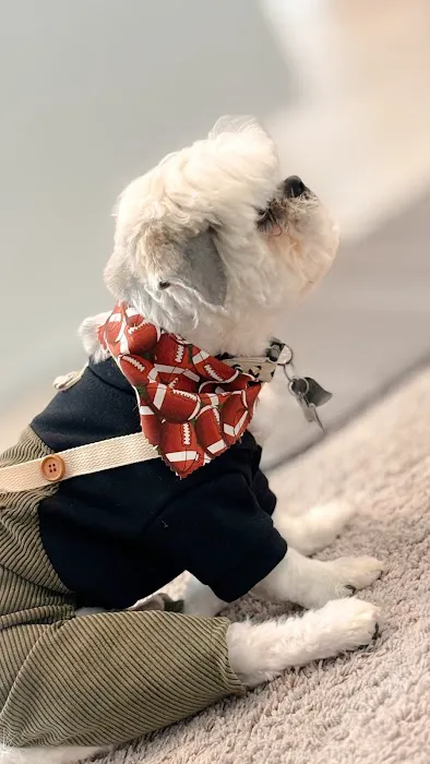 mondo pet usa Picture 9