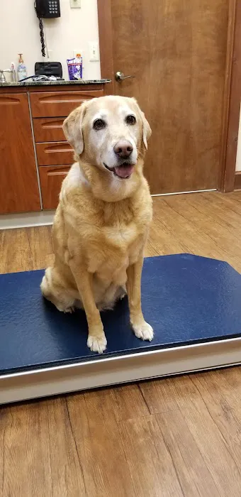 Mt Olive Veterinary Hospital Picture 3