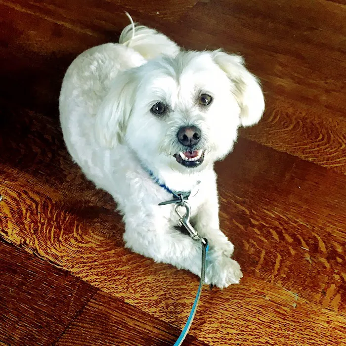 Mt Olive Veterinary Hospital Picture 8