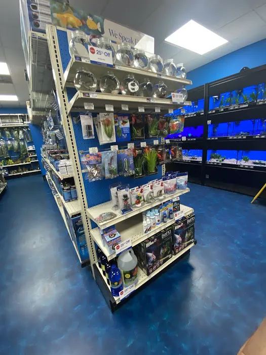 Pet Supermarket Picture 5