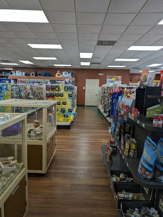 Pet Supermarket Picture 7