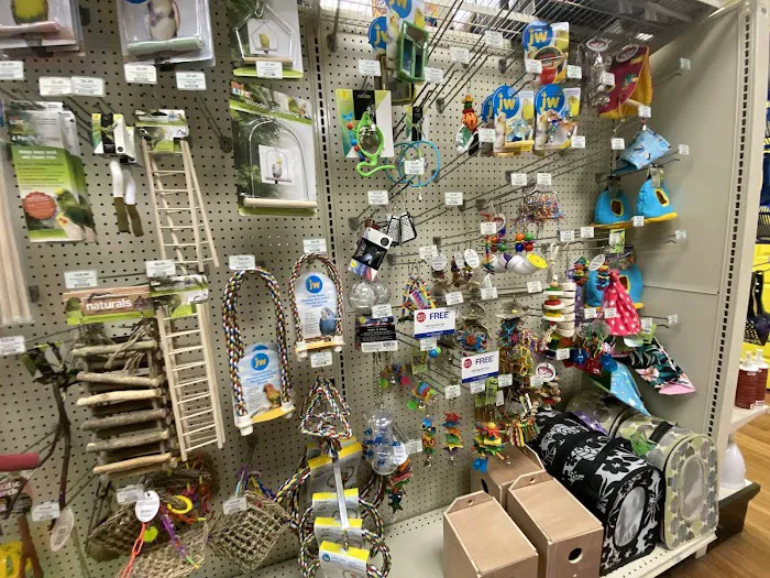 Pet Supermarket Picture 6
