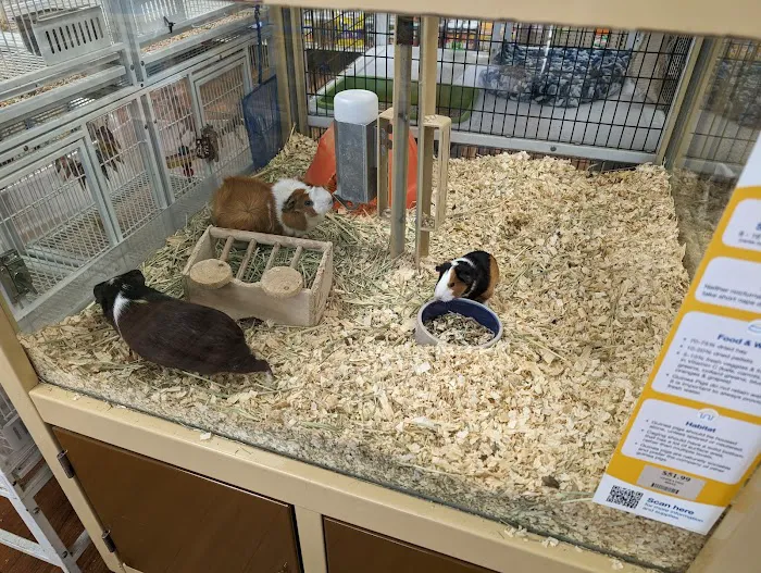 Pet Supermarket Picture 10