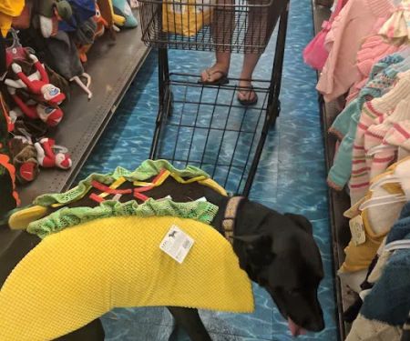 Petco