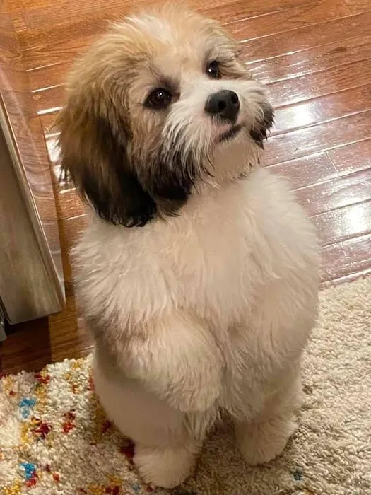 Tranquility Veterinary Clinic Picture 2