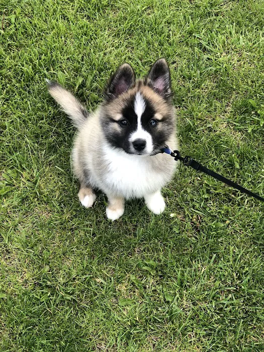 Tranquility Veterinary Clinic Picture 7