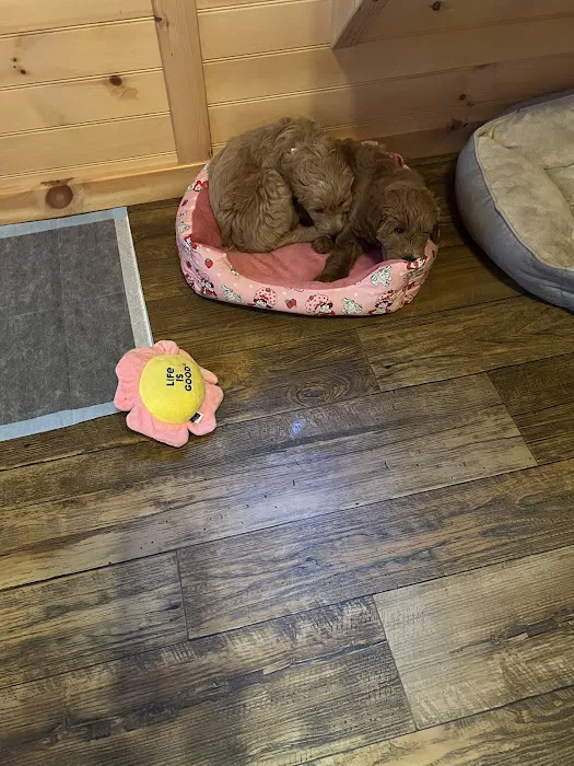 Tranquility Veterinary Clinic Picture 1