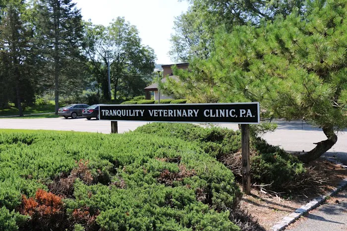 Tranquility Veterinary Clinic Picture 10