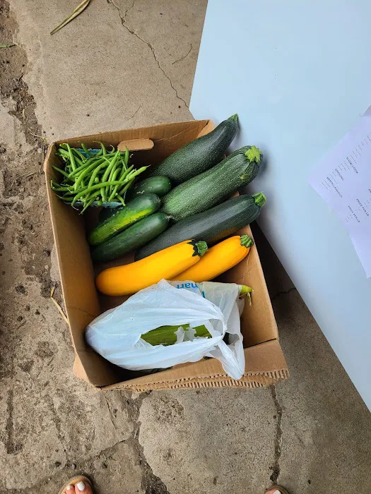 Valley Brook Veterinary Service Picture 1