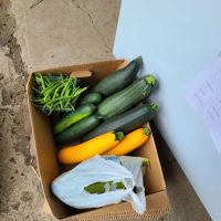 Valley Brook Veterinary Service ico