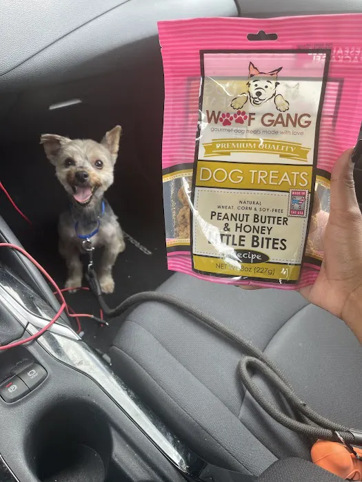 Woof Gang Bakery & Grooming Waterford Lakes Picture 8