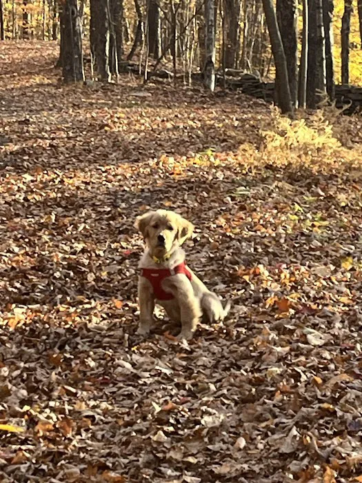 Milford Animal Hospital Picture 2