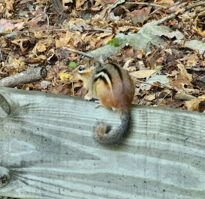 Milford Animal Hospital Picture 7