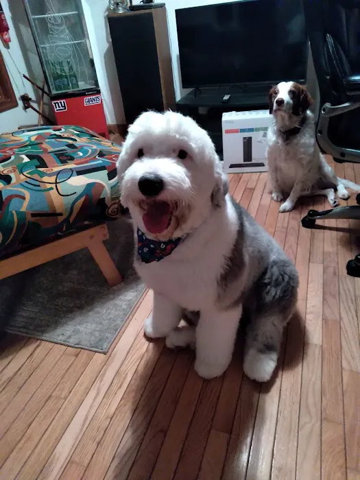 Milford Animal Hospital Picture 10