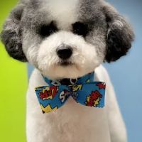 All 4 Pets Avalon Park ico