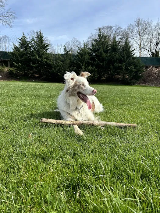 Roeder's Ark Veterinary Hospital Picture 1