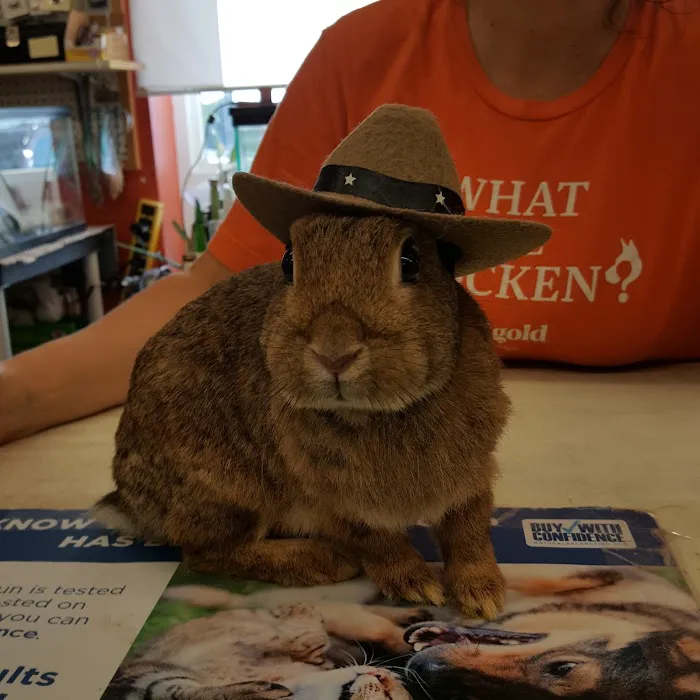 Roeder's Ark Veterinary Hospital Picture 7