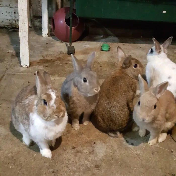 Roeder's Ark Veterinary Hospital Picture 8