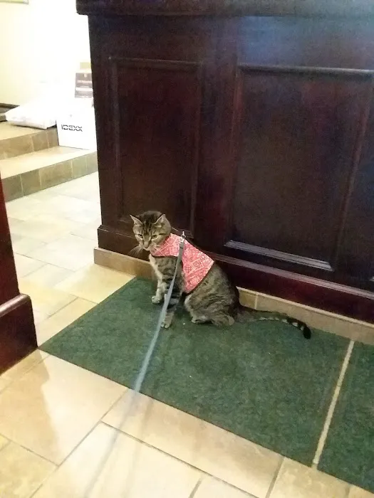 Roeder's Ark Veterinary Hospital Picture 3