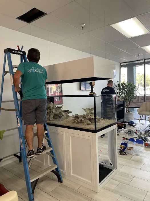 Top Shelf Aquatics Picture 4