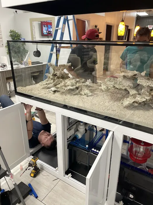 Top Shelf Aquatics Picture 9