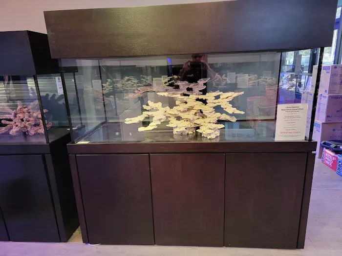 Top Shelf Aquatics Picture 5