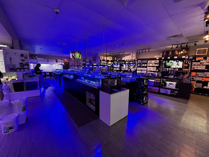 Top Shelf Aquatics Picture 3