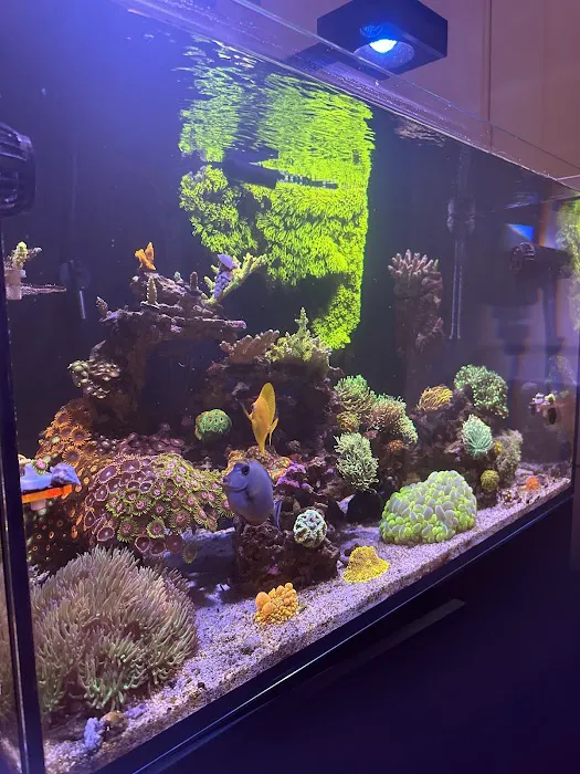 Top Shelf Aquatics Picture 10