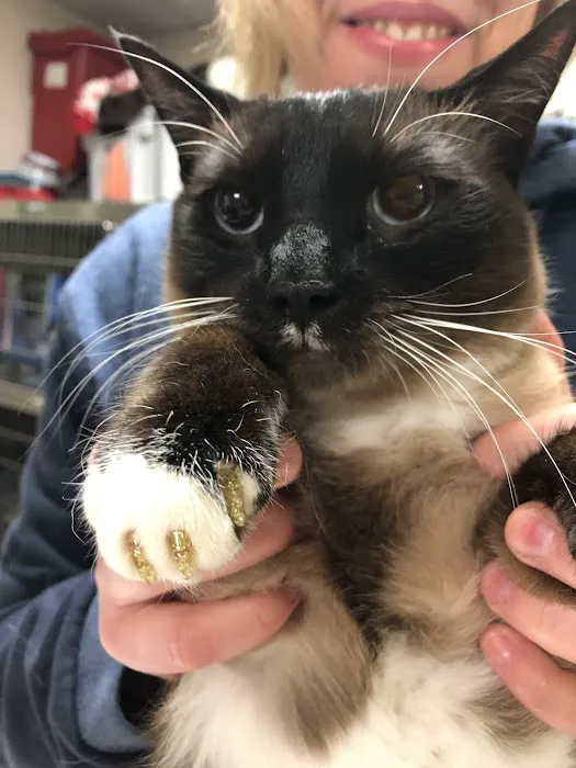 Shohola Veterinary Hospital Picture 8