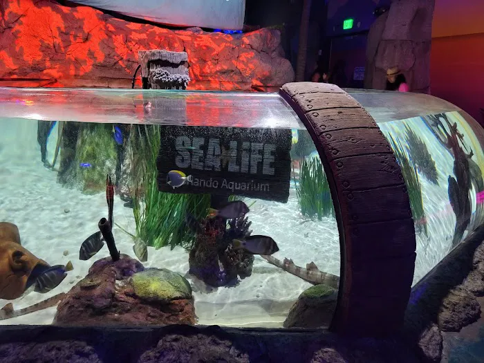 Aquariums Fish & Coral Picture 2