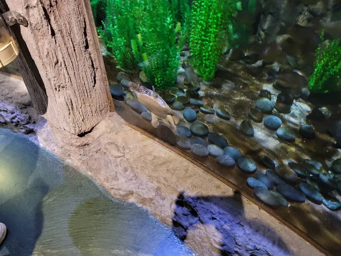 Aquariums Fish & Coral Picture 1