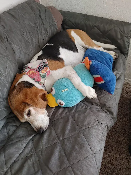 Pet Supplies Plus Winter Park Picture 1