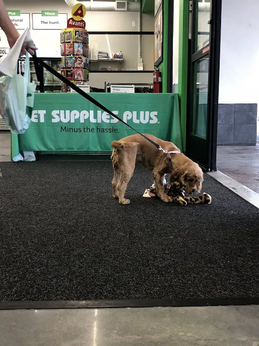 Pet Supplies Plus Winter Park Picture 10