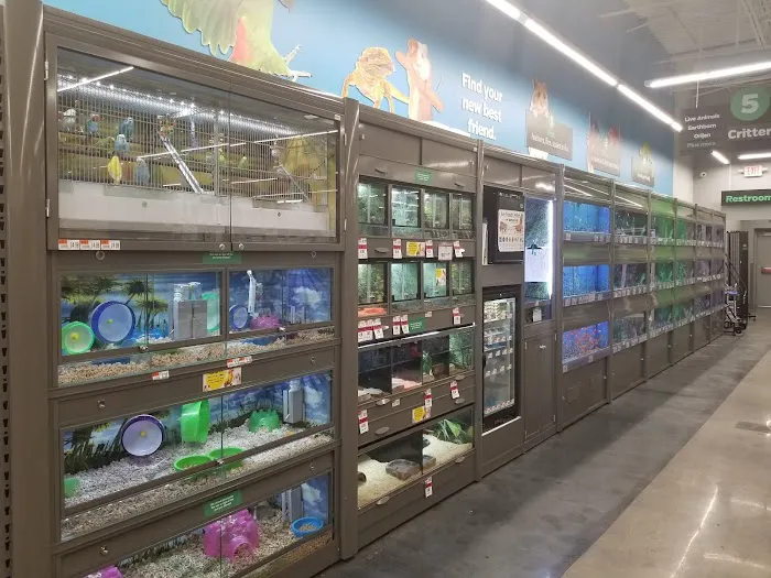 Pet Supplies Plus Winter Park Picture 5