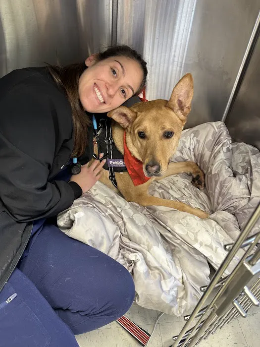 Long Branch Animal Hospital Picture 7