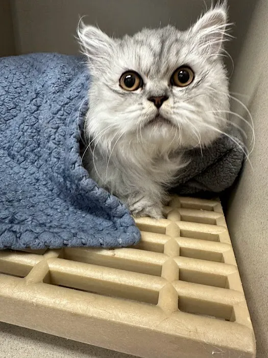 Long Branch Animal Hospital Picture 3