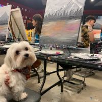 Long Branch Animal Hospital ico