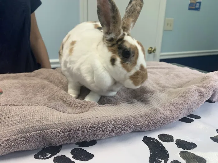 Long Branch Animal Hospital Picture 8