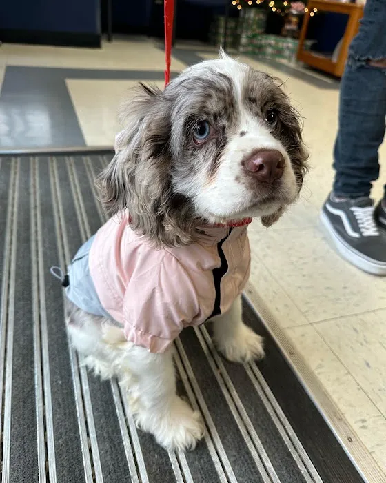 Long Branch Animal Hospital Picture 5